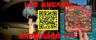 гашик Новозыбков
