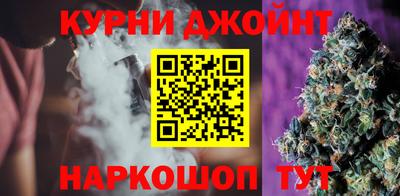 гашик Новозыбков