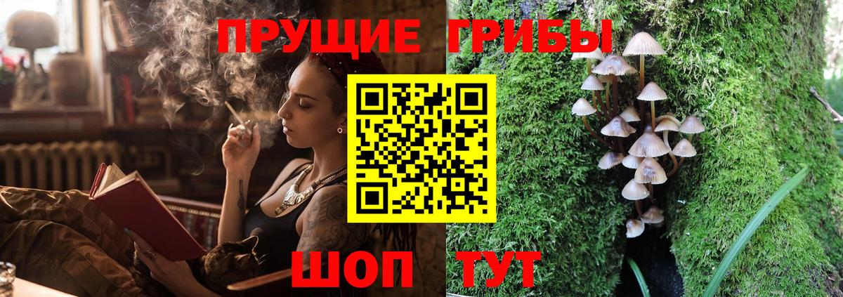 Серпухов  Галлюциногенные грибы MAGIC MUSHROOMS  Вход с VPN 